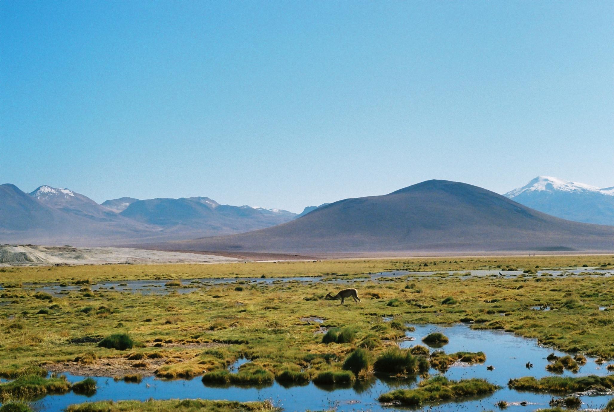atacama