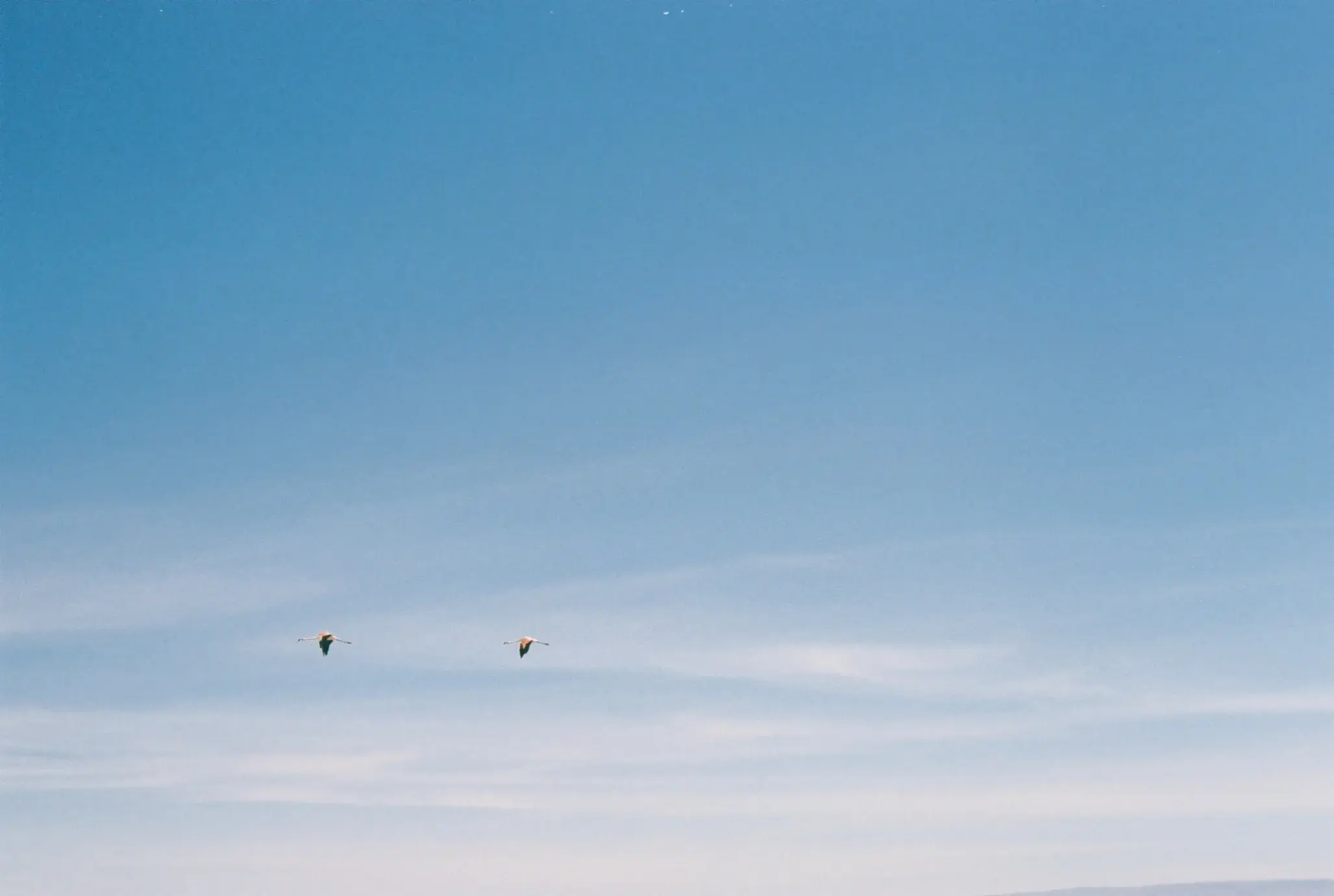 Atacama Desert, frame 5