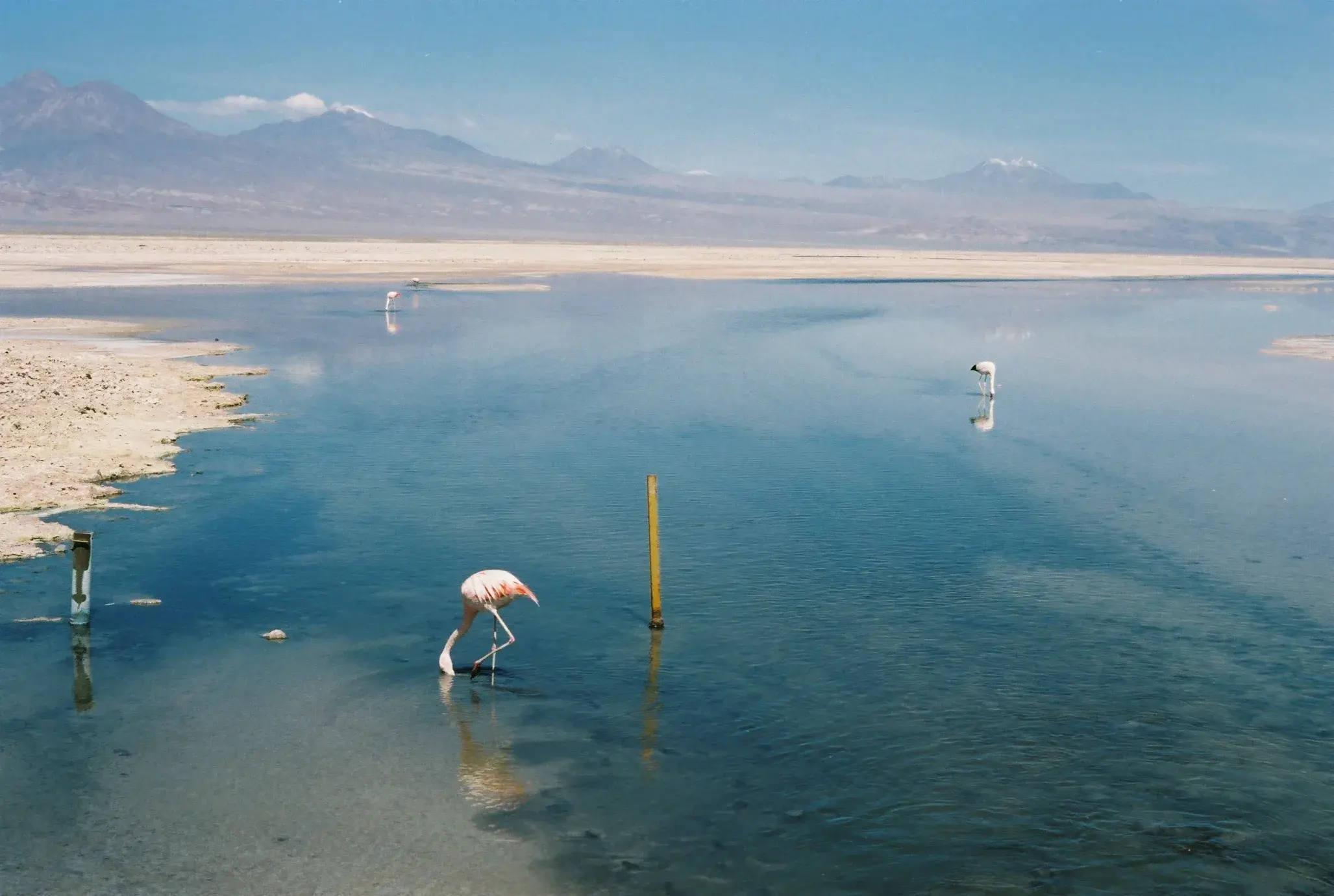 Atacama Desert, frame 7