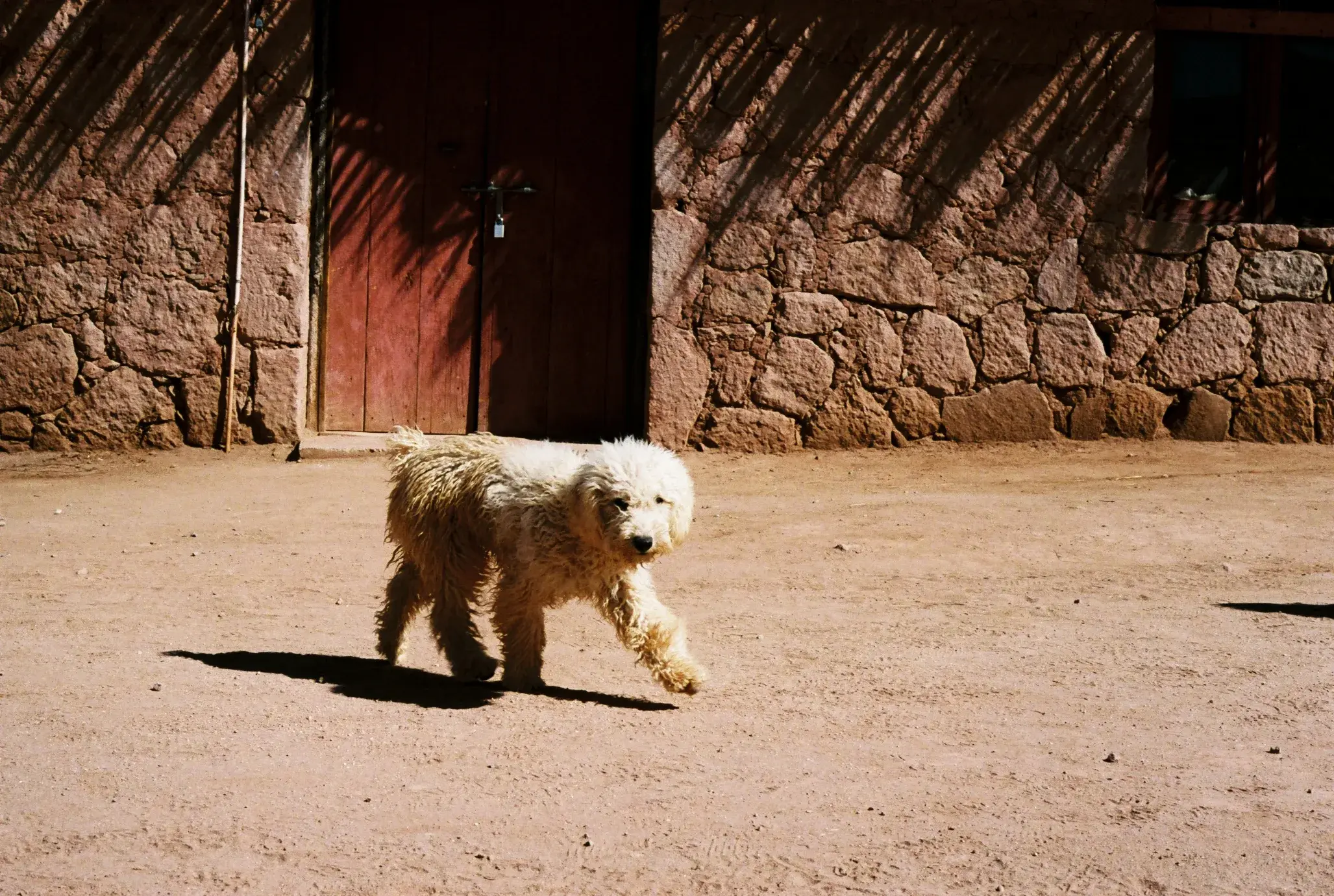 Atacama Desert, frame 16