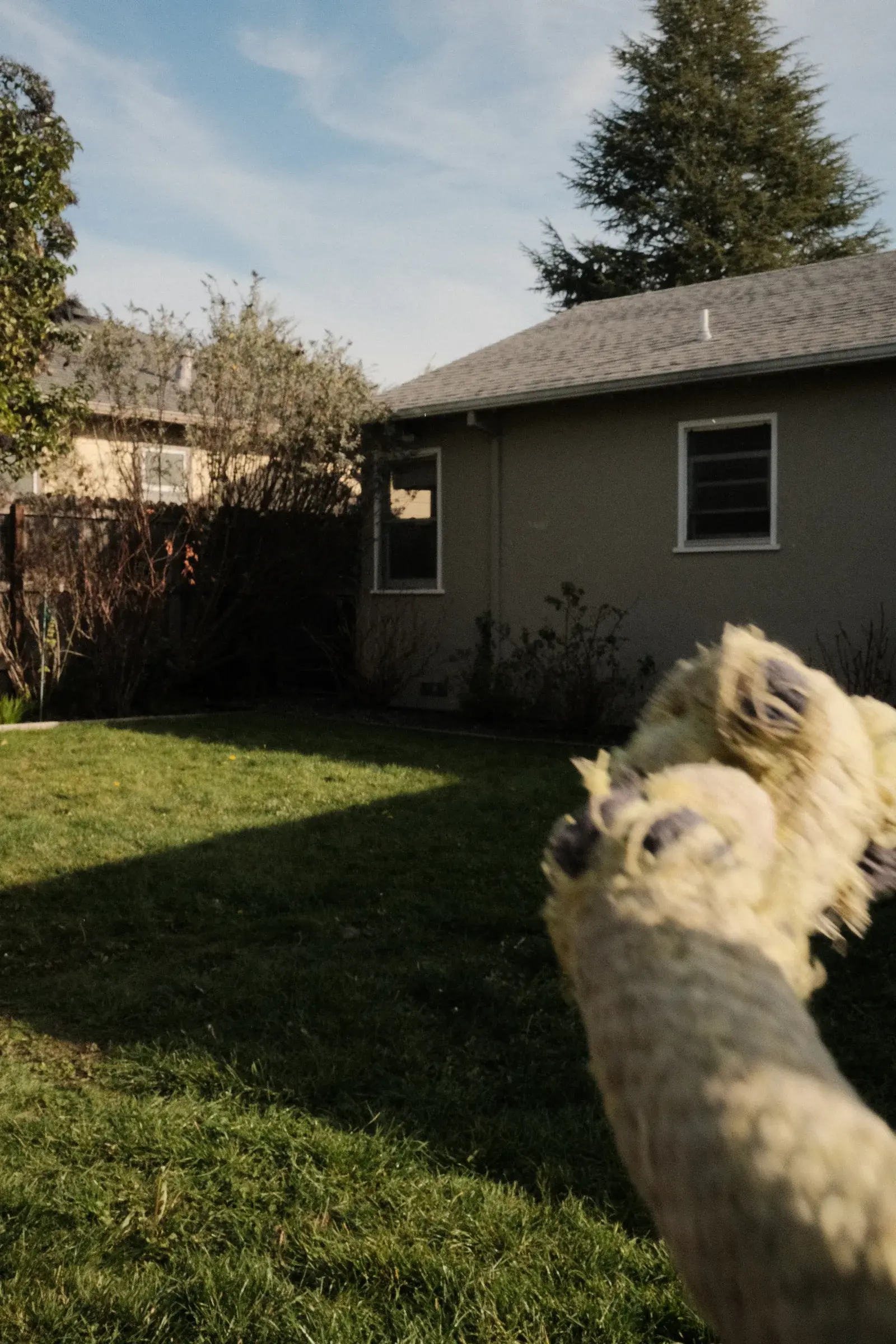 X100V test, frame 2