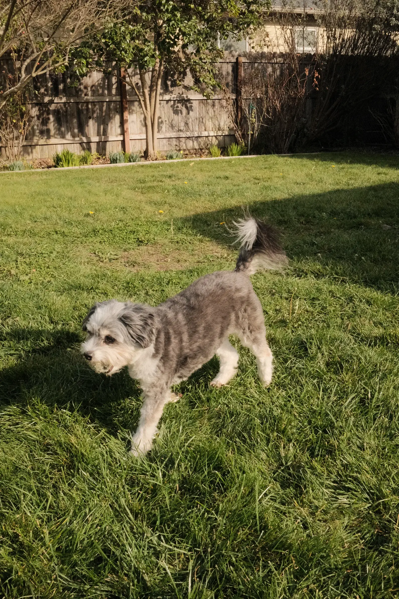 X100V test, frame 3