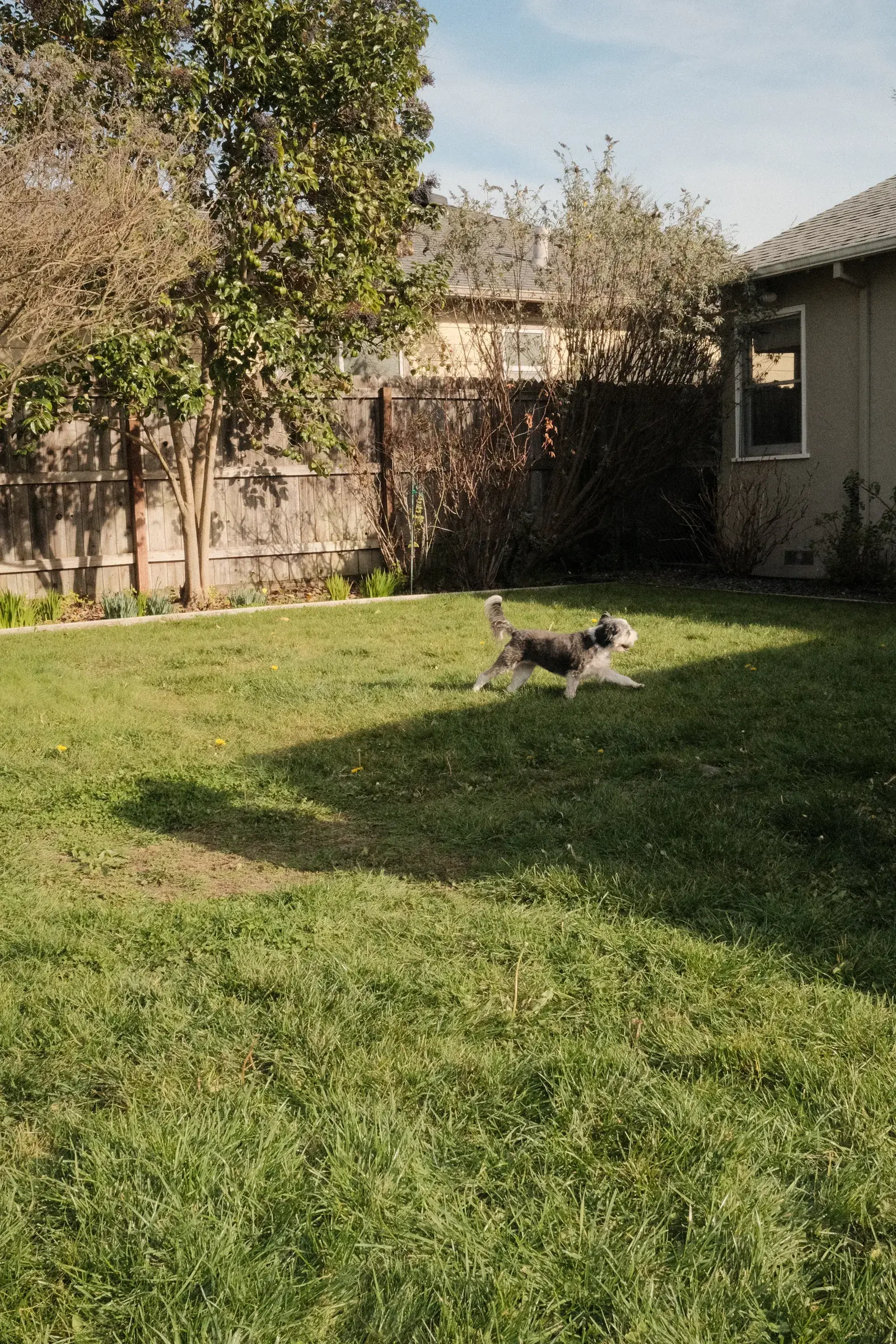 X100V test, frame 4