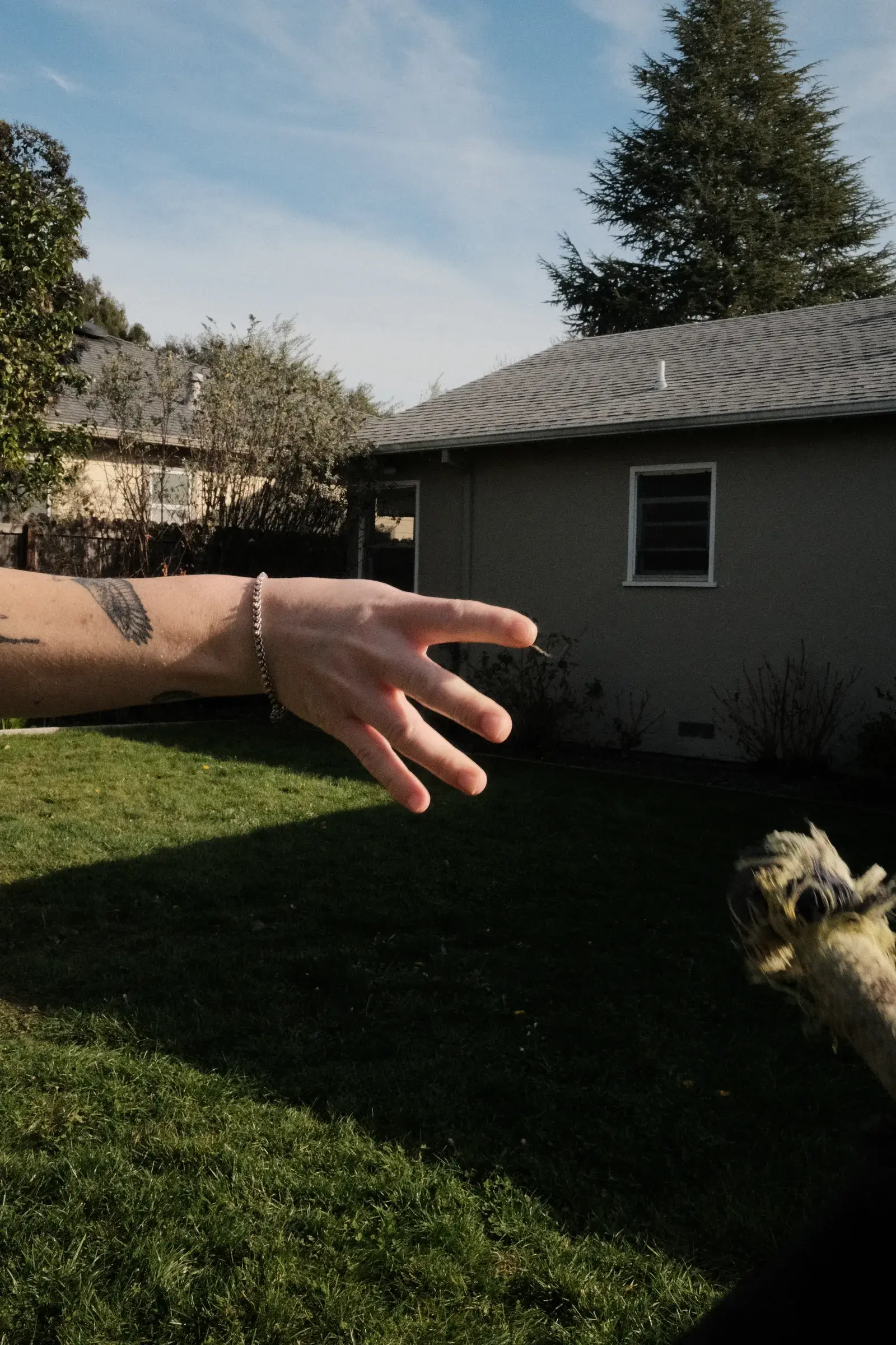 X100V test, frame 5